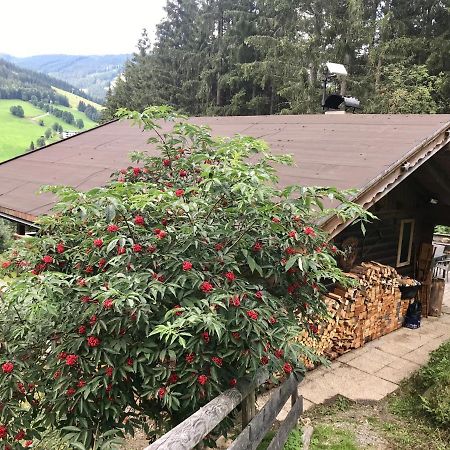 Wasserfallhuette Saalbach Екстер'єр фото