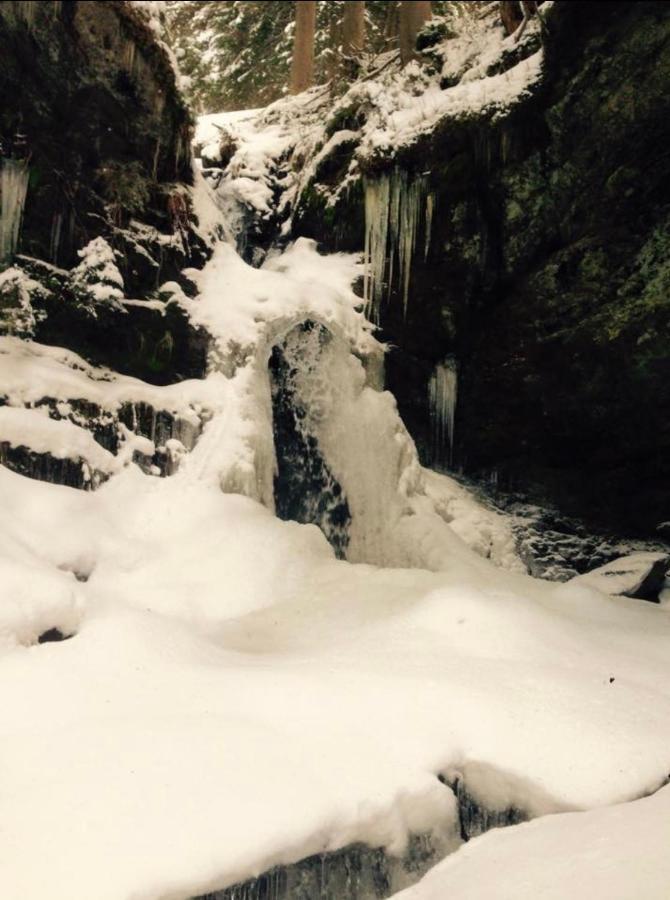 Wasserfallhuette Saalbach Екстер'єр фото